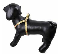 Arnés pechera para perros Good Morning negro, talla S