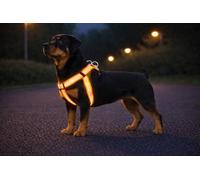Arnés Perro Grande - arnés Step&Go Fierro Fluo Naranja - Talla XL - 60-90 cm - Nylon Regulable - Bandas Reflectantes - Doble Anilla Anti-tirones