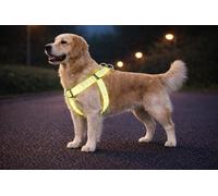 arnes Perro Grande - Step&Go Fergu Fluo Amarillo L - A:40-70 cm B:40-70 cm - 25 mm - Nylon Regulable - Reflectante