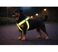 arnes Perro Grande - Step&Go Fergu Fluo Amarillo XL - A:60-90 cm B:60-90 cm - 25 mm - Nylon Regulable - Reflectante