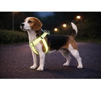 arnes Perro Mediano - Step&Go Fergu Fluo Amarillo M - A:35-60 cm B:35-60 cm - 20 mm - Nylon Regulable - Reflectante