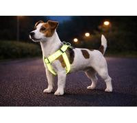 arnes Perro pequeño - Step&Go Fergu Fluo Amarillo S - A:25-45 cm B:25-45 cm - 15 mm - Nylon Regulable - Reflectante