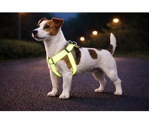 arnes Perro pequeño - Step&Go Fergu Fluo Amarillo S - A:25-45 cm B:25-45 cm - 15 mm - Nylon Regulable - Reflectante