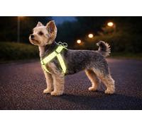 arnes Perro pequeño - Step&Go Fergu Fluo Amarillo XS - A:20-35 cm B:20-35 cm - 10 mm - Nylon Regulable - Reflectante