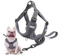 Arnés Perro y Conjunto de Correa, Arnés Reflectante & Antitirones para Perro, Chaleco Acolchado Cómodo y Ajustable para Perros, Ideal para Que tu Mascota Pasee & Capacitación (Gris, M)