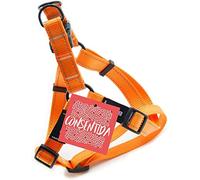 Arnés Petral para Perro Pequeño T1 - Talla S 20 - 35 x 1 cm - Color Naranja Flúor - Estampado Liso - Tejido Resistente Fabricado en Nylon - Abrochado Fácil - Accesorios para Perros - Consentida