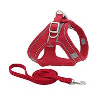 Arnés Reflectante for Perros y Gatos, Chaleco de Nailon, Conjunto arnés Correa, Color Rojo, Talla XS(Red,XS)