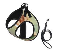Arnés reflectante para mascotas, chaleco con estampado de margaritas y flores florales para cachorros, arnés de entrenamiento para perros