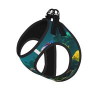 Arnés reflectante para perro con estampado de peces azules, arnés para cachorros, arnés y correa, para entrenamiento de caminata