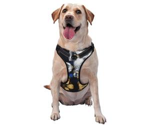 Arnés reflectante para perro con estampado de salón de baile, transpirable, ajustable, chaleco para mascotas, 4 tallas XL con hebillas de liberación rápida, adecuado para paseos y campamentos