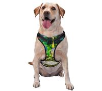 Arnés reflectante para perro de liberación rápida con diseño de peces tropicales con 2 hebillas de liberación rápida, 4 tamaños M, ideal para paseos al aire libre y caminatas