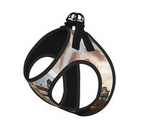 Arnés reflectante para perro, diseño histórico de Old Tower Bridge con estampado de Londres, arnés para mascotas, arnés para cachorros, para entrenamiento de caminata