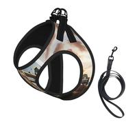 Arnés reflectante para perro, diseño histórico de Old Tower Bridge con estampado de Londres, arnés para mascotas, arnés para cachorros, para entrenamiento de caminata