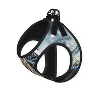 Arnés reflectante para perro, diseño histórico de Old Tower Bridge con estampado de Londres, arnés para mascotas, arnés para cachorros, para entrenamiento de caminata