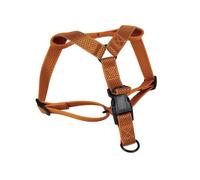 Arnés Reflectante para Perros | Color Naranja | Talla S/M