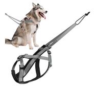 Arnés reflectante para perros grandes, correa ajustable cómoda para entrenamiento de trineo, caminar, tirar, ejercicio, actividades al aire