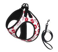 Arnés Reflectante para Perros Kiss Hot Red Nice Lips con Correa, Chaleco Ajustable para Mascotas sin tirones, arnés para Mascotas pequeñas y Grandes