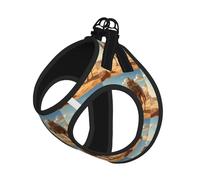 Arnés reflectante para perros pequeños con estampado de camello y arena del desierto, chaleco reflectante para caminar al aire libre