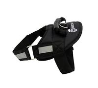 Arnés Reforzado con Relleno para Perro-Talla L- Valencia