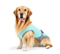 Arnés Refrescante para Perros | Ropa Canina Refrescante De Verano,Ajustable Transpirable para Raza Pequeña Y Mediana Senderismo Paseo Camping Viaje Entrenamiento