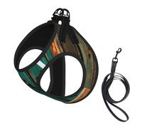 Arnés rústico para perro con estampado de puerta de madera antigua, chaleco con correa para mascotas para perros pequeños a medianos, perfecto para aventuras al aire libre
