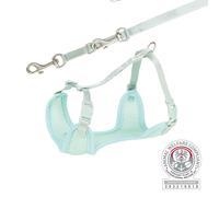 Arnés suave para cachorros junior con correa 36-50 cm/10 mm menta