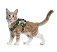 Arnés táctico para Gatos para Caminar a Prueba de Escapes, arnés de Malla Suave Ajustable para Mascotas para Gatos Grandes y Perros pequeños (L, Verde A)