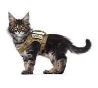 Arnés táctico para Gatos para Caminar a Prueba de Escapes, arnés de Malla Suave Ajustable para Mascotas para Gatos Grandes y Perros pequeños (Talla L, Caqui)