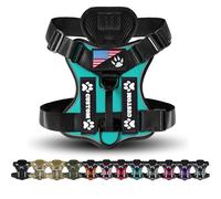 Arnés táctico personalizado para perro, con parches de nombre y números personalizados, chaleco ajustable sin tirones con asa y parche de la bandera de Estados Unidos (turquesa)