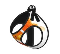 Arnés tipo chaleco para perro, tamaño pequeño, con estampado de peces dorados, reflectante, para exteriores y pasear al perro