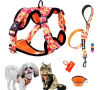 Arnés y Correa para Perro Cachorro Gato Arnes para Perros Anti Tirones Chaleco Transpirable Acolchado Original Tamaño Pequeño como Bichón Yorkshire Peso Ideal 3-7,5kg (Talla S Naranja, Lote de Paseo)