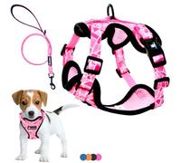 Arnés y Correa para Perro Cachorro Gato Arnes para Perros Anti Tirones Chaleco Transpirable Acolchado Ajustable Original Suave Tamaño Pequeño como Bichón Yorkshire Peso Ideal 3-7,5kg (Talla S, Rosa)