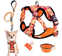 Arnés y Correa para Perro Cachorro Gato Arnes para Perros Anti Tirones Transpirable Acolchado Ajustable Original Tamaño Pequeño como Chihuahua Peso Ideal 1,2-3kg (Talla XS Naranja, Lote de Paseo)