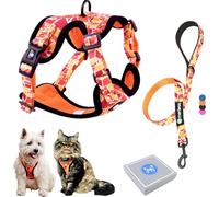 Arnés y Correa para Perro Cachorro Gato Arnes para Perros Anti Tirones typo Chaleco Transpirable Acolchado Ajustable Original Tamaño Pequeño como Bichón Yorkshire Peso Ideal 3-7,5kg (Talla S, Naranja)