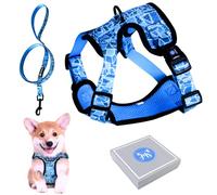 Arnés y Correa para Perro Cachorro Gato Arnes para Perros Anti Tirones Typo Chaleco Transpirable Acolchado Ajustable Original Tamaño Pequeño como Bichón Yorkshire Peso Ideal 3-7,5kg (Talla S, Azul)