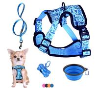 Arnés y Correa para Perro Cachorro Gato Arnes Perros Anti Tirones Chaleco Transpirable Acolchado Ajustable Original Tamaño Muy Pequeño como Chihuahua Peso Ideal 1,2-3kg (Talla XS Azul, Lote de Paseo)