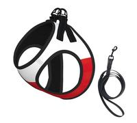 Arnés y correa para perro, con estampado de bandera de Chile, malla suave, reflectante, transpirable, ligero, estilo chaleco