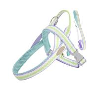 Arnés y correa para perro, juego de arnés ajustable para mascotas, diseño de botón ajustable, herramienta para pasear al perro para camping, picnic, paseo diario, salidas de fin de semana y viajes