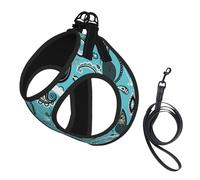 Arnés y Correa para Perros con Estampado de Mandala Colorido, Chaleco Reflectante Ajustable para Perros pequeños, arnés de Malla Transpirable para Cachorros, Ideal para Paseos y Senderismo, Talla Med