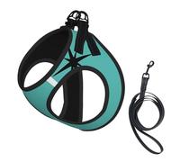 Arnés y Correa para Perros Estilo Retro de la era atómica de los años 50 en Turquesa y Negro, sin tirones. Lindo Chaleco Reflectante Ajustable para Perros pequeños. Arnés de Malla Transpirable para