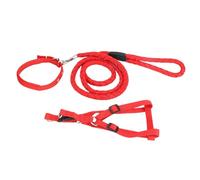 Arnés y Correa para Perros Grandes, Conjunto de Entrenamiento y Paseo, Tamaño M Rojo - Material Nylon Premium, Seguro y Cómodo para Mascotas (Metro)