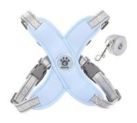 Arnés y Correa para Perros pequeños, Ajustable, antiestrangulamiento, Reflectante, cómodo, con Cuerda de tracción para Paseos, Color Azul, para Cachorros y Perros Extra pequeños.