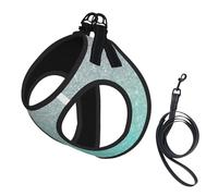 Arnés y Correa para Perros pequeños, Color Verde Menta con Degradado Plateado, sin tirones. Incluye un Chaleco Reflectante Ajustable y un arnés de Malla Transpirable para Cachorros, Ideal para Paseos