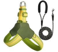 Arnés y Correa Reflectantes para Perros, diseñados para Belgian Malinois. Arnés y Correa Ajustables antitirones para Mascotas. Yellow L