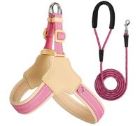 Arnés y Correa Reflectantes para Perros, diseñados para Dogue de Bordeaux. Arnés y Correa Ajustables antitirones para Mascotas. Pink XL