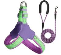 Arnés y Correa Reflectantes para Perros, diseñados para Dogue de Bordeaux. Arnés y Correa Ajustables antitirones para Mascotas. Purple L