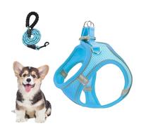 Arnés Y Correas para Perros Pequeños - Arnés Antitirones para Perros con Correa,Chaleco Ajustable para Cachorros Y Gatos para Viaje En Coche Y Caminatas Nocturnas