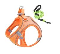 Arnés Y Correas para Perros Pequeños,Combinación De Arnés De Malla Y Correas para Perro - Chaleco Ajustable para Cachorros Y Gatos para Viaje En Coche Y Caminatas Nocturnas