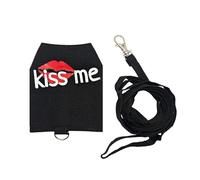 Arneses y Correas para Dragón Barbudo - Transpirable Luminosa para Suministros De Mascotas Pequeñas,Atuendos de Dragón Barbudo | para Acampada Vida Urbana Viajes Nocturnos Transporte Diario Compras