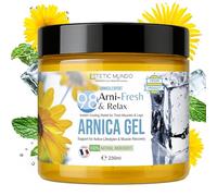 ARNI·FRESH & RELAX | Gel de Árnica 98% - Articulaciones, Piernas Cansadas, Sobrecarga Muscular y Recuperación Activa - Efecto Frío Real con 12 Plantas Calmantes - Hecho en Francia 230 ml